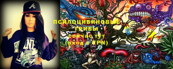 ALPHA-PVP Строитель