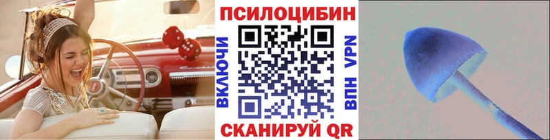 Псилоцибиновые грибы мицелий  купить закладку  OMG tor  Кущёвская 