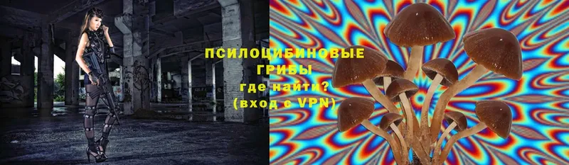 Галлюциногенные грибы мухоморы Кущёвская